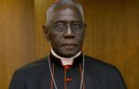 « Canonisation » de Paul VI : les louanges du cardinal Sarah