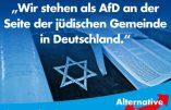 Bientôt un signe distinctif pour les membres de l’AfD ?