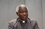 Le cardinal Turkson en appelle aux religions pour sauver la planète Terre !