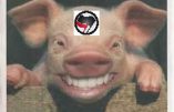 Balance ton porc antifa…