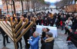 La Corse célèbre publiquement Hanouccah pour la première fois. Pas un mot des laïcistes…