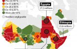 Une Afrique d’excision