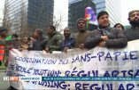 Manifestation autorisée d'immigrés illégaux...