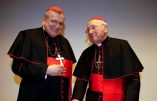 Amoris laetitia : après les dubia,  une déclaration publique critique des cardinaux Burke et Brandmüller