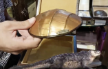 Israël – Controverse autour des kippas de luxe en crocodile