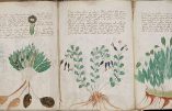 Et le Voynich a tenu le « génie juif » en échec…