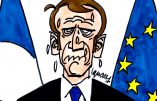 Ignace - Silence et licenciement