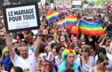 ©PHOTOPQR/LE PARISIEN/DELPHINE GOLDSZTEJN
PARIS LE 30 06 2012
 ; LA MARCHE DES FIERTES LESBIENNES, GAYS, BI ET TRANS (LGBT) A PARIS