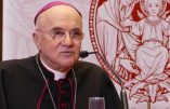 Mgr Vigano écrit à Trump : la lutte contre l’Etat profond est de nature biblique et les émeutes au nom de George Floyd sont provoquées par les enfants des Ténèbres