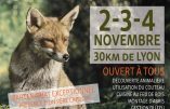 2-3-4 novembre : stage découverte de la nature