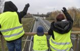 Jaune, la couleur de la rentrée sociale