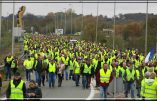 « Le p’tit soldat » : une drôle de chanson, poétique et bien rythmée sur les gilets jaunes