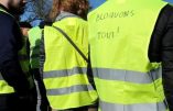 Qui sont vraiment les Gilets Jaunes ?