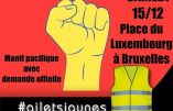 15 décembre – Manifestation des Gilets Jaunes à Bruxelles