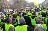 Acte VI à Toulon – Enorme foule derrière la banderole « Nous sommes le peuple de France »