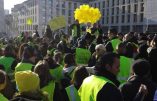 Acte VII à Marseille – L’équipe de BFMTV chassée par les Gilets Jaunes au cri de « menteurs »