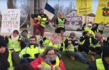 Chanson pour Gilets Jaunes : « Débranche ta télé et enfile ton gilet »