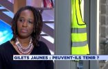 Gilets jaunes : Priscillia Ludosky s’oppose à Eric Drouet