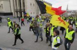 Belgique – Gilets jaunes et œil bleu !