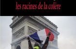 « Les gilets jaunes contribuent à la fin de l’empire des mensonges » (Jean-Michel Vernochet)