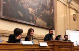 Cyril Hanouna à l’Assemblée nationale, le degré zéro de la politique française