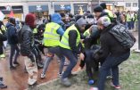 Vincent Lapierre tabassé par des antifas durant l’acte XII à Toulouse