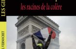 Gilets jaunes : Jean-Michel Vernochet répond aux questions de Jérôme Bourbon