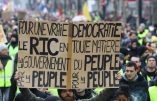 Le RIC, chimère démocratique pour sauver la République ?