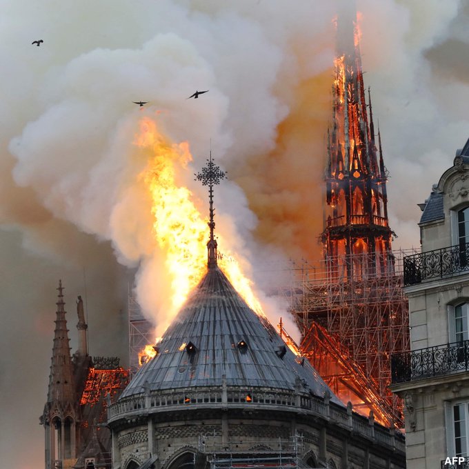 Cardinal Pacelli : « Notre-Dame de Paris c’est l’âme même de la France »