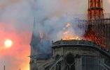 Charpente de Notre-Dame : la construction à l’identique serait possible