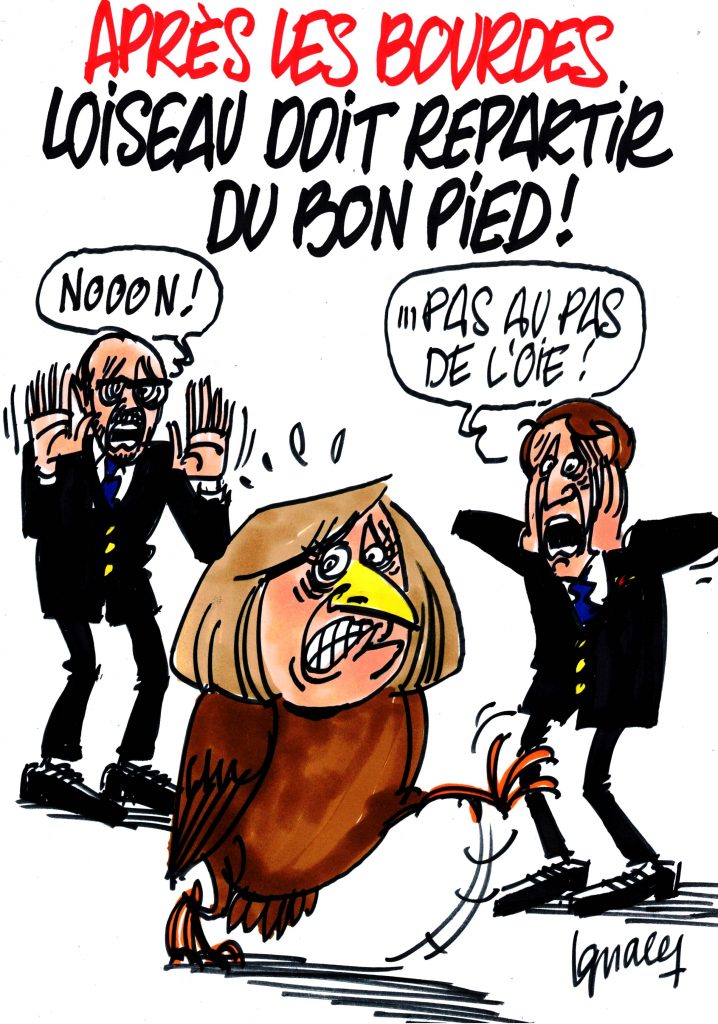 Ignace - Loiseau doit repartir du bon pied !