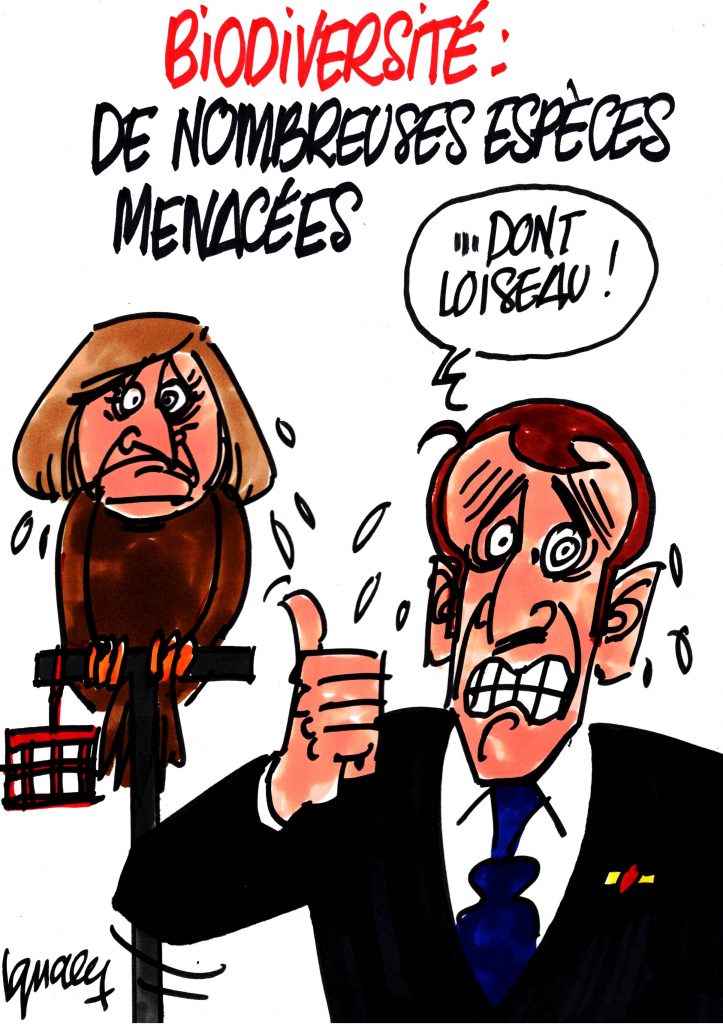 Ignace - Macron et la biodiversité