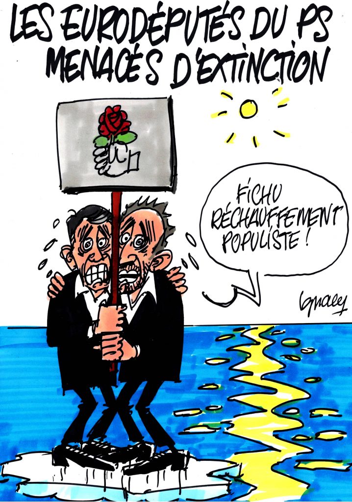 Ignace - Les eurodéputés du PS menacés d'extinction