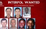 Interpol traque les « crimes contre l’environnement »