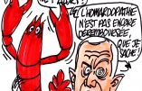 Ignace - De Rugy et le homard