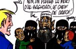 Ignace - Chagrin voilé mais non dissimulé
