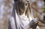 Jeudi 12 décembre 2019 – 5ème jour dans l’Octave de l’Immaculée Conception.