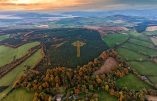 L’Irlande fière de son identité ou l’art de planter des arbres