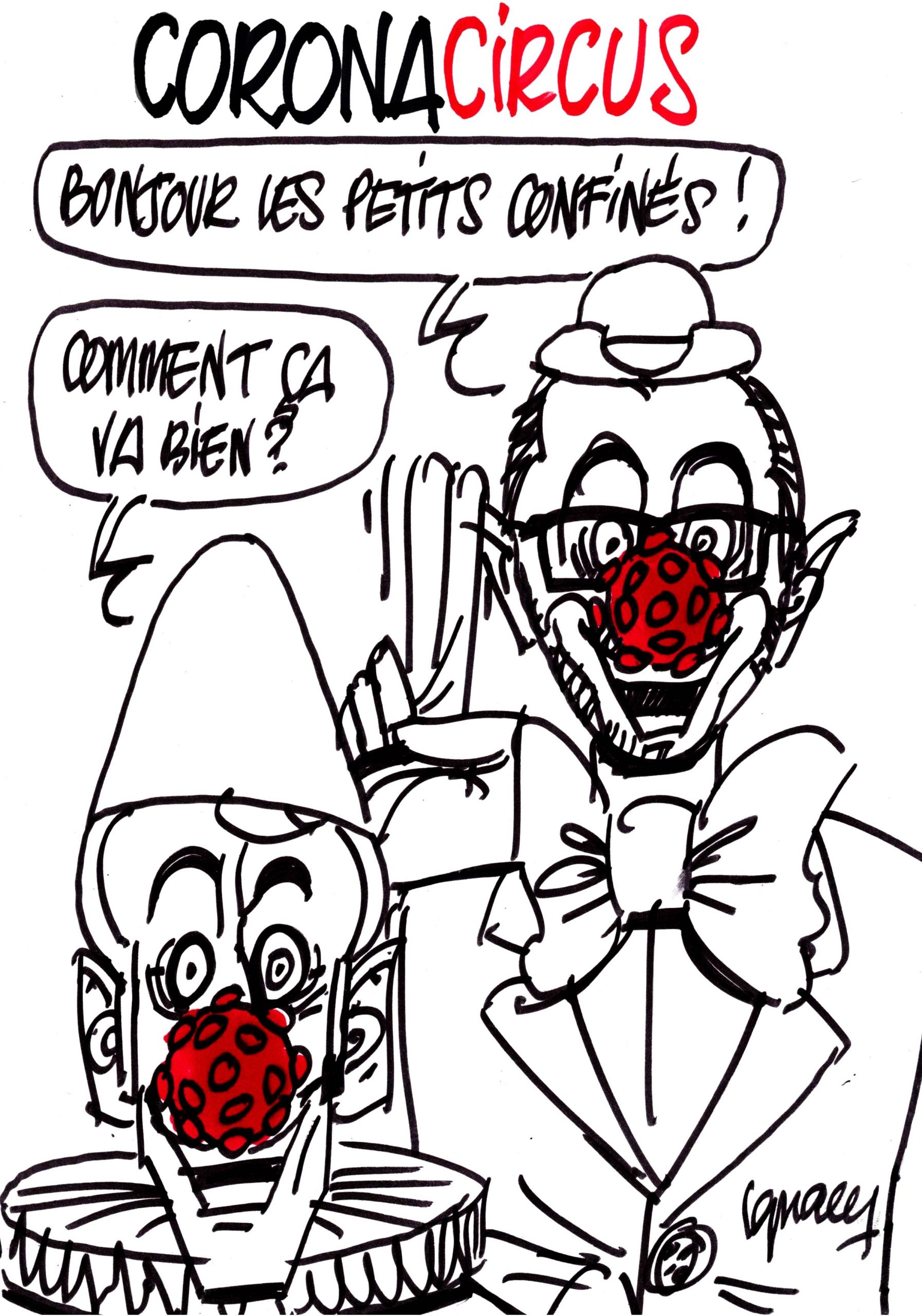 Ignace - Coronacircus