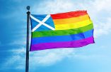 Ecosse, les quotas « rose » valent aussi pour les trans