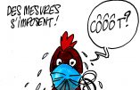 Ignace - Poulet brésilien infecté par le coronavirus