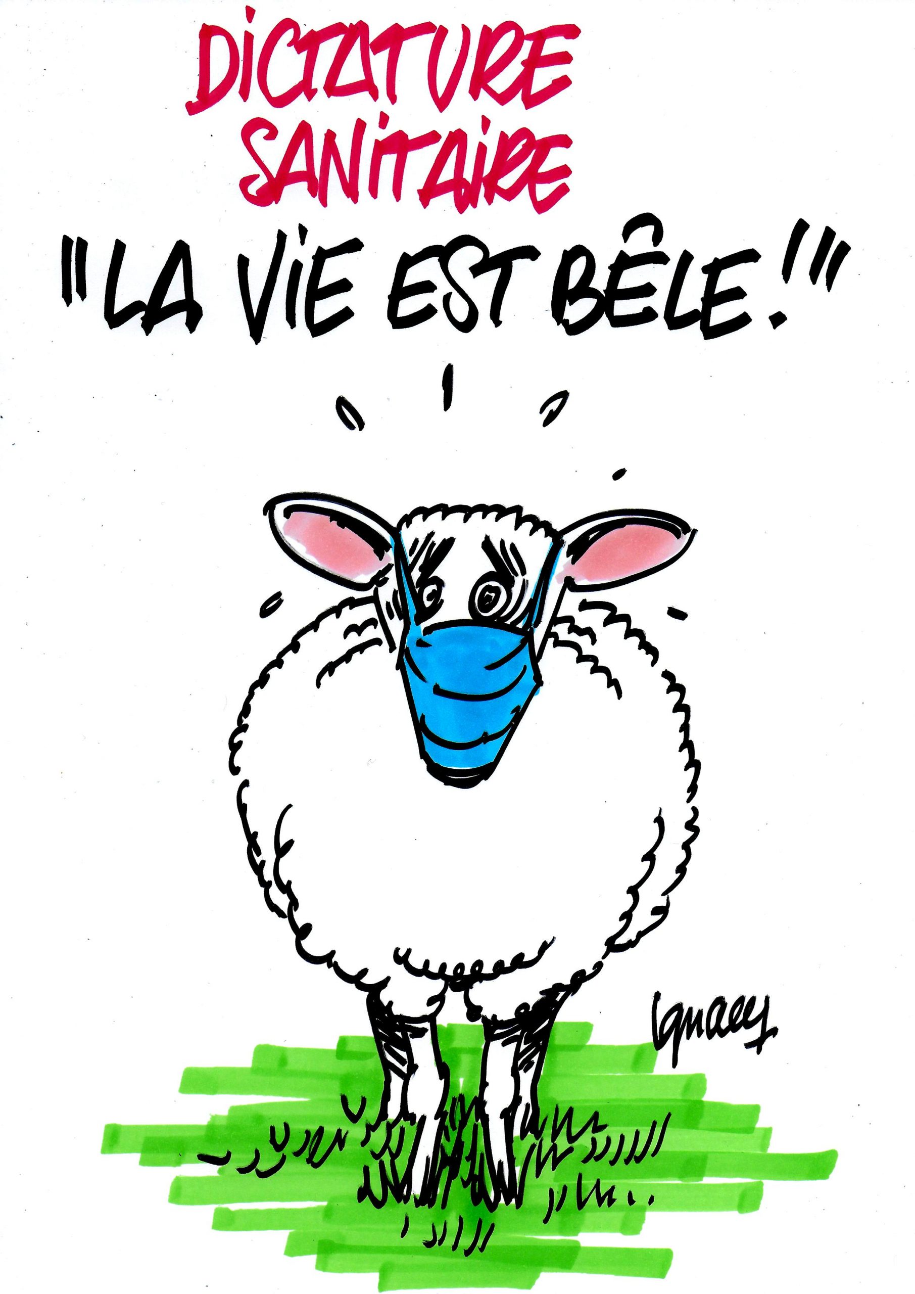 Ignace - "La vie est bêle !"