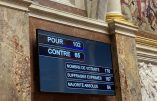 Avorter jusqu’à 14 semaines de la grossesse ? Les députés ont voté majoritairement en faveur de cet infanticide