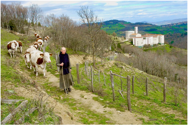 L’abbaye de Randol a 585kg de fromage à écouler !