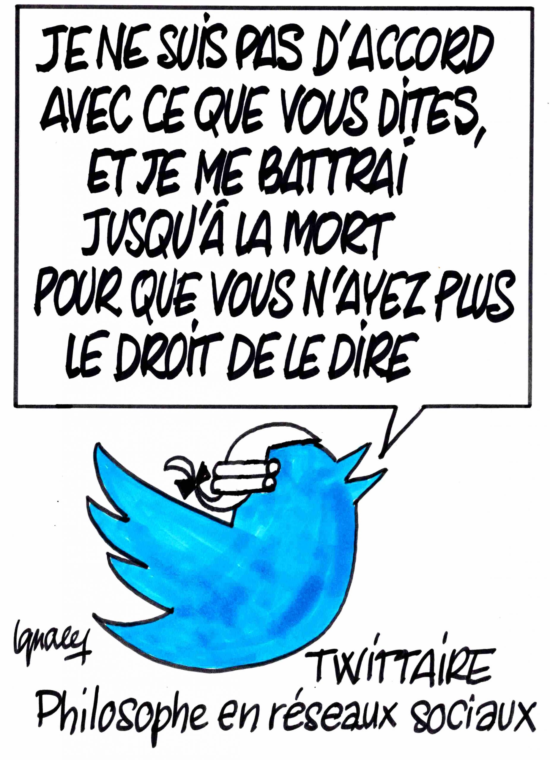 Ignace - Non d'oiseau